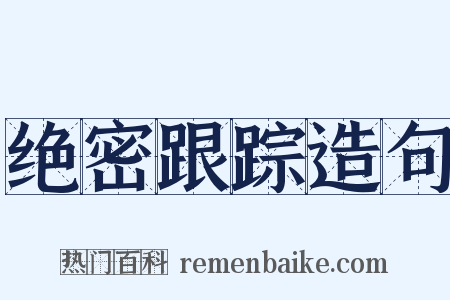 绝密跟踪造句是什么意思的图片